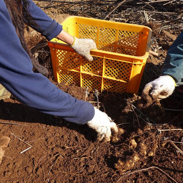 自然の恵みを使った身体にやさしい健康食品を皆さまへお届けします